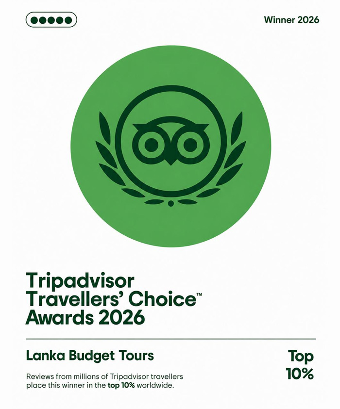 trip advisor